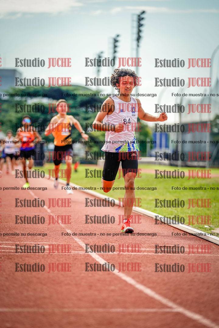 Fotos de los 800 m llanos de varones
