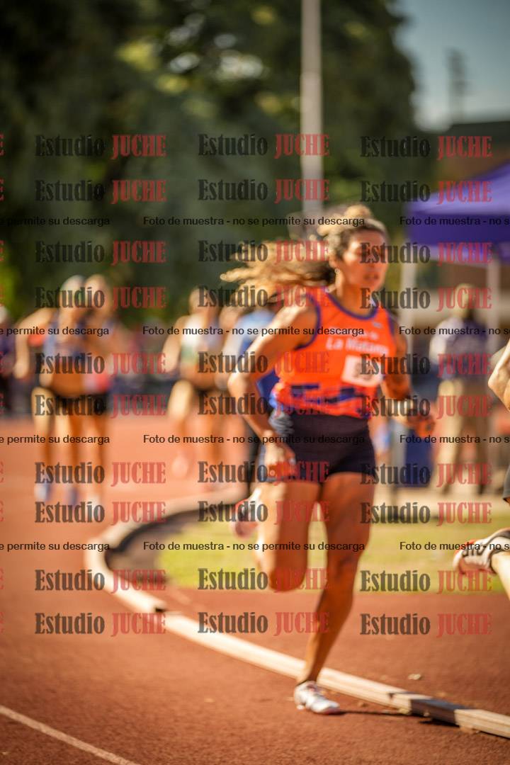Fotos de los 800 m llanos de mujeres