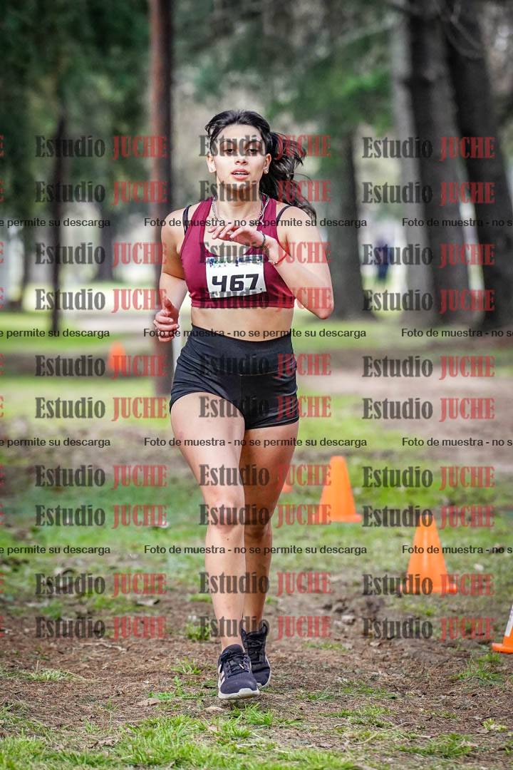 Fotos en el circuito
