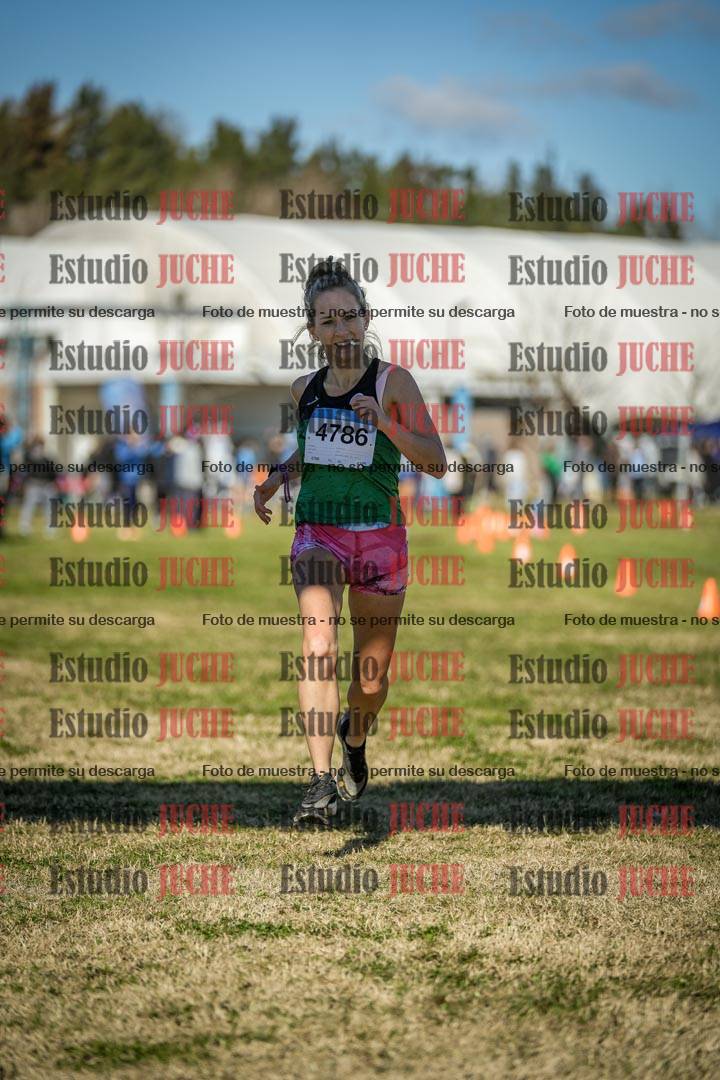 Fotos de las llegadas