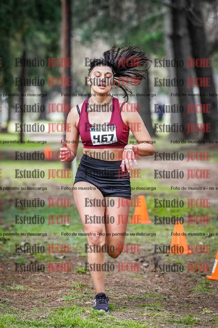 Fotos en el circuito