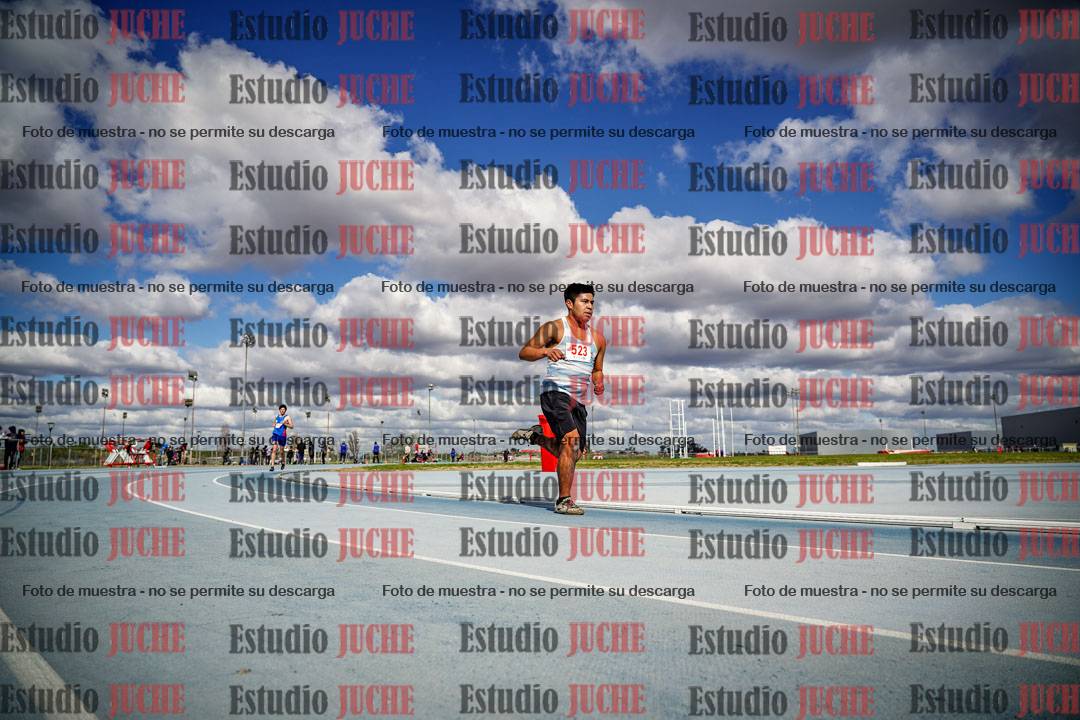 Fotos de los 5000 m llanos de varones