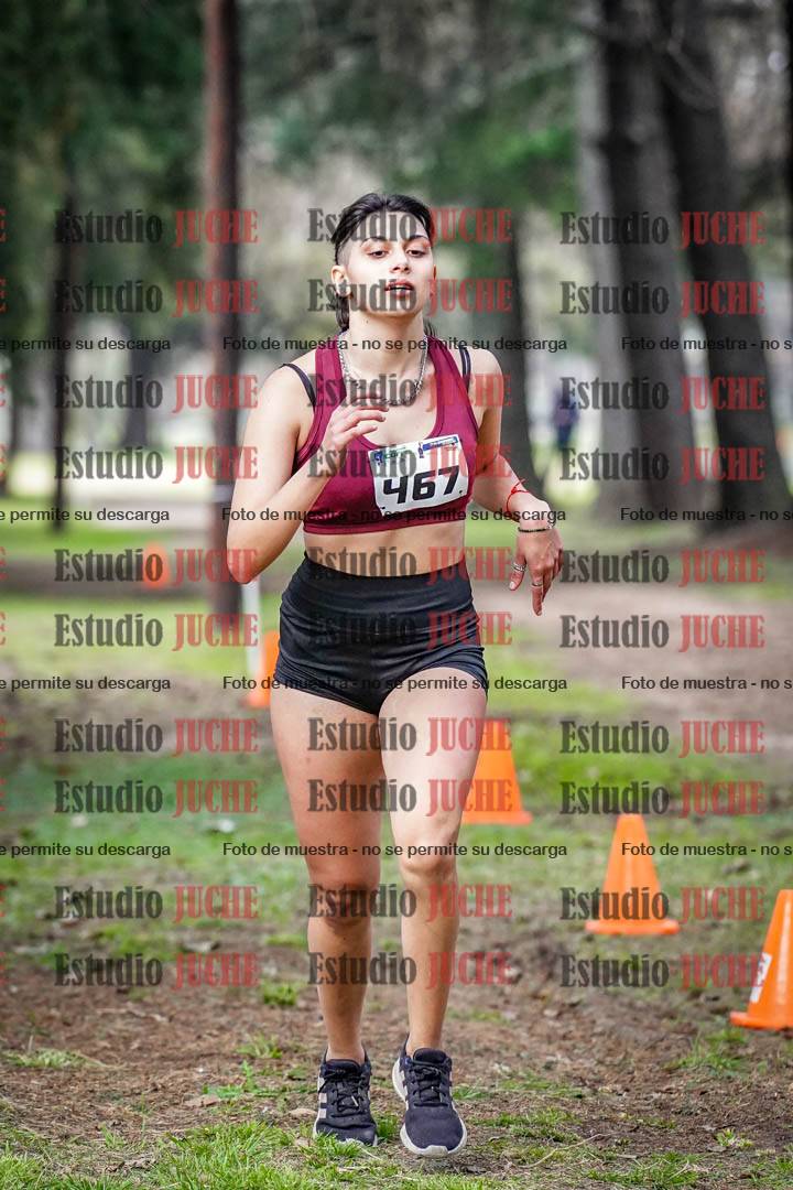 Fotos en el circuito