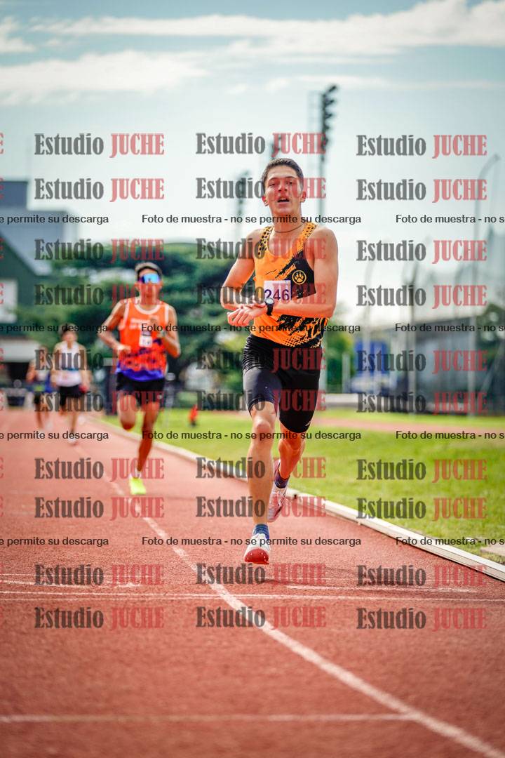 Fotos de los 800 m llanos de varones