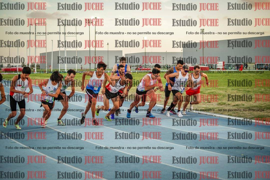 Fotos de los 3000 m llanos de varones