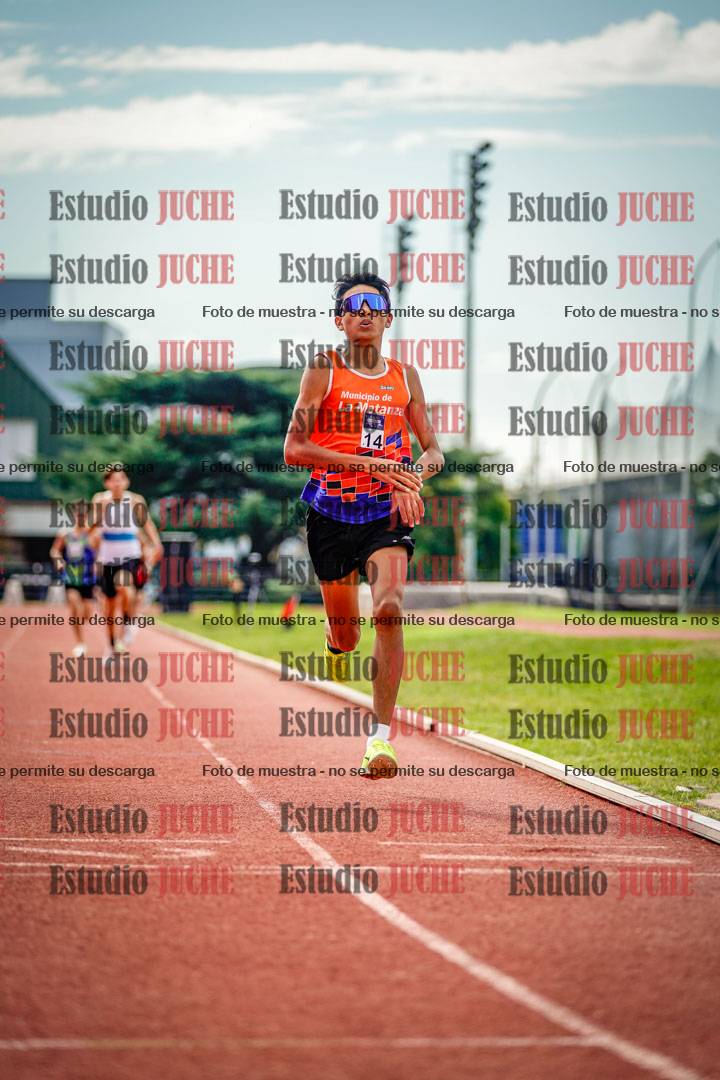 Fotos de los 800 m llanos de varones