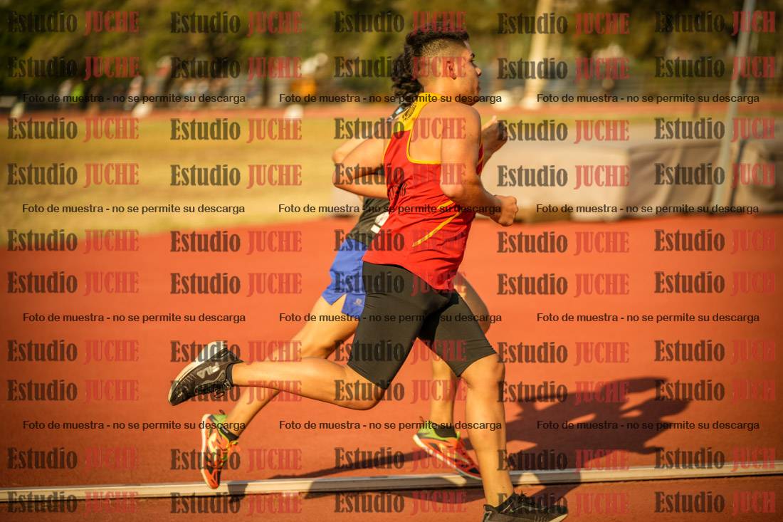 Fotos de los 1500 m llanos de varones