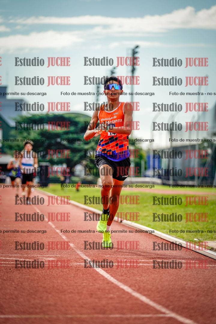 Fotos de los 800 m llanos de varones
