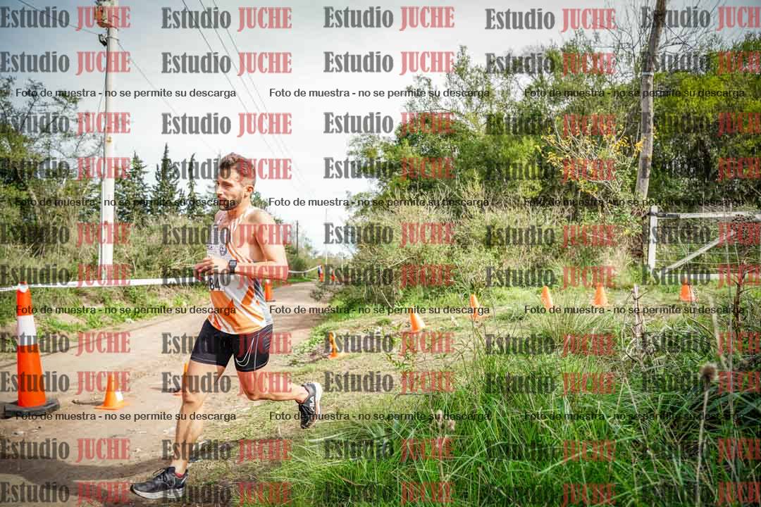 Fotos en el circuito
