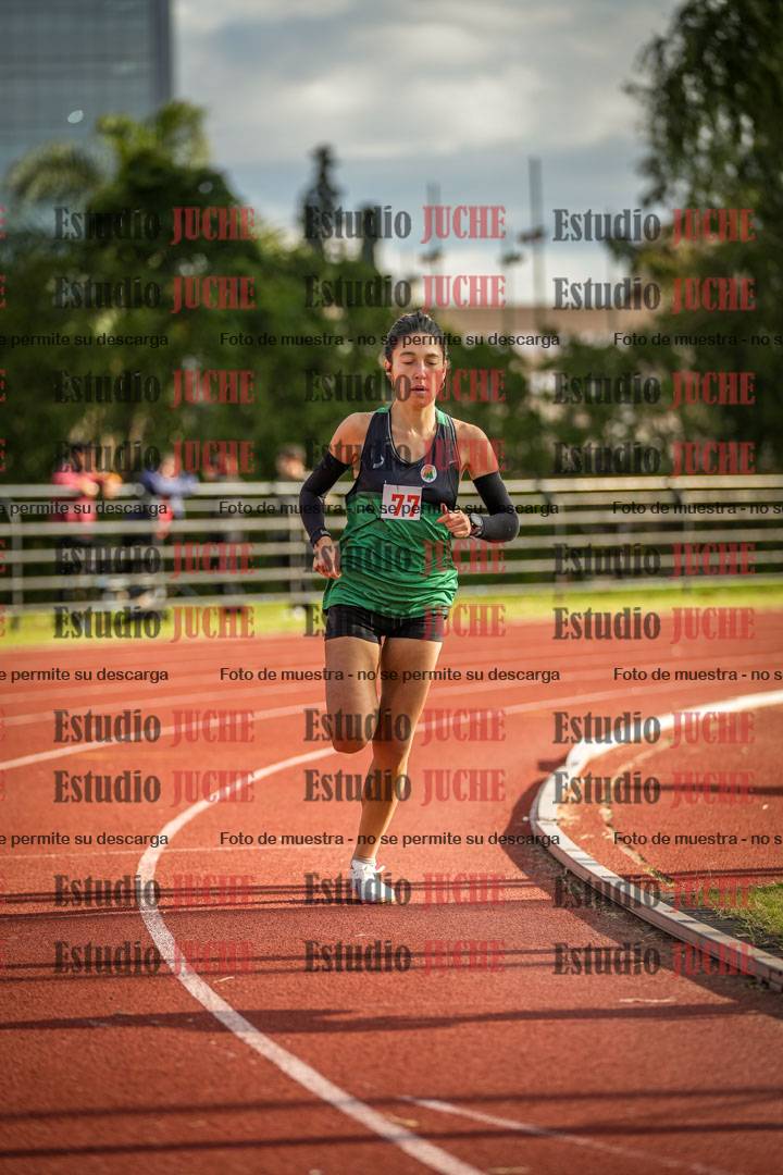 Fotos de los 1500 m llanos de mujeres