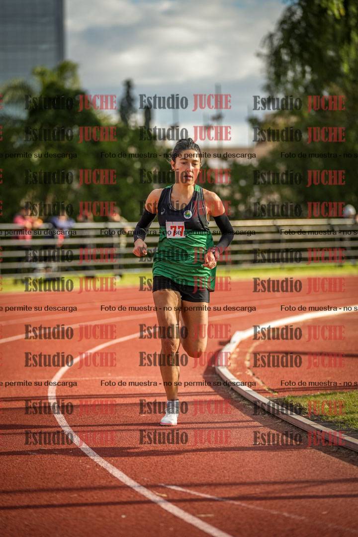 Fotos de los 1500 m llanos de mujeres