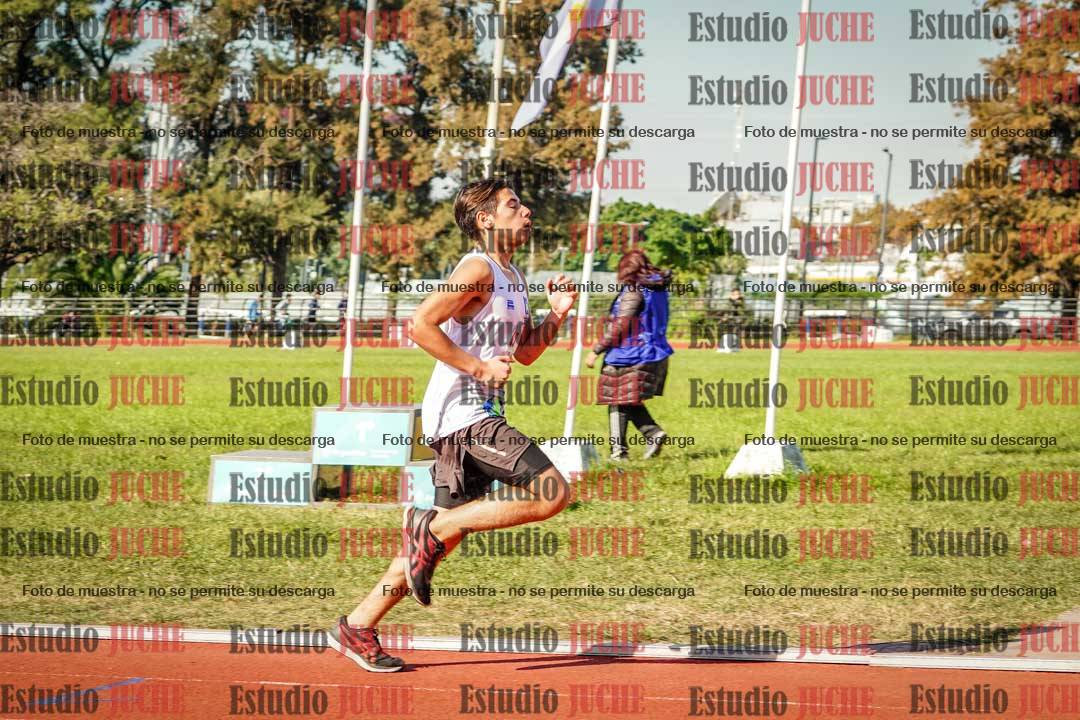 Fotos de los 800 m llanos de varones