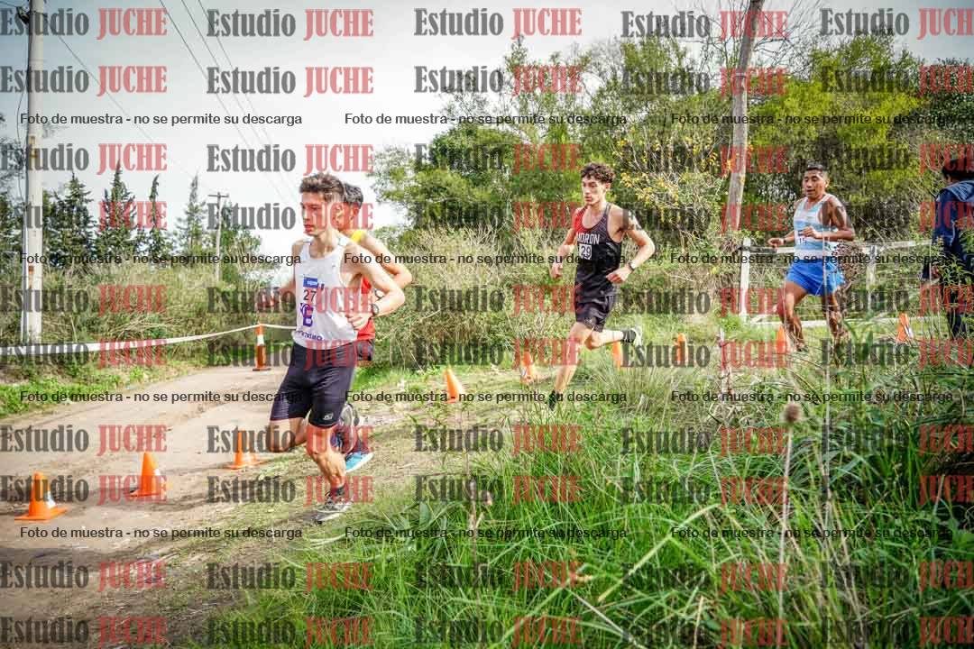 Fotos en el circuito