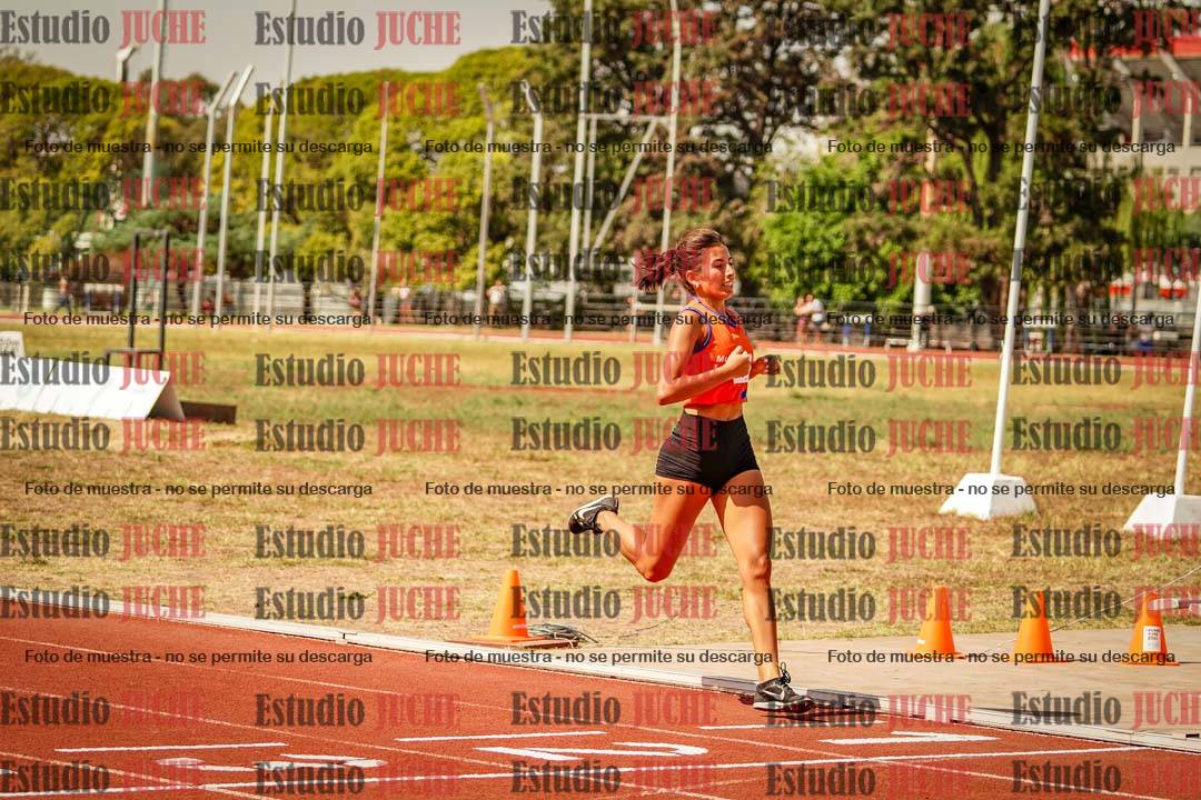 Fotos de los 800 m llanos de mujeres
