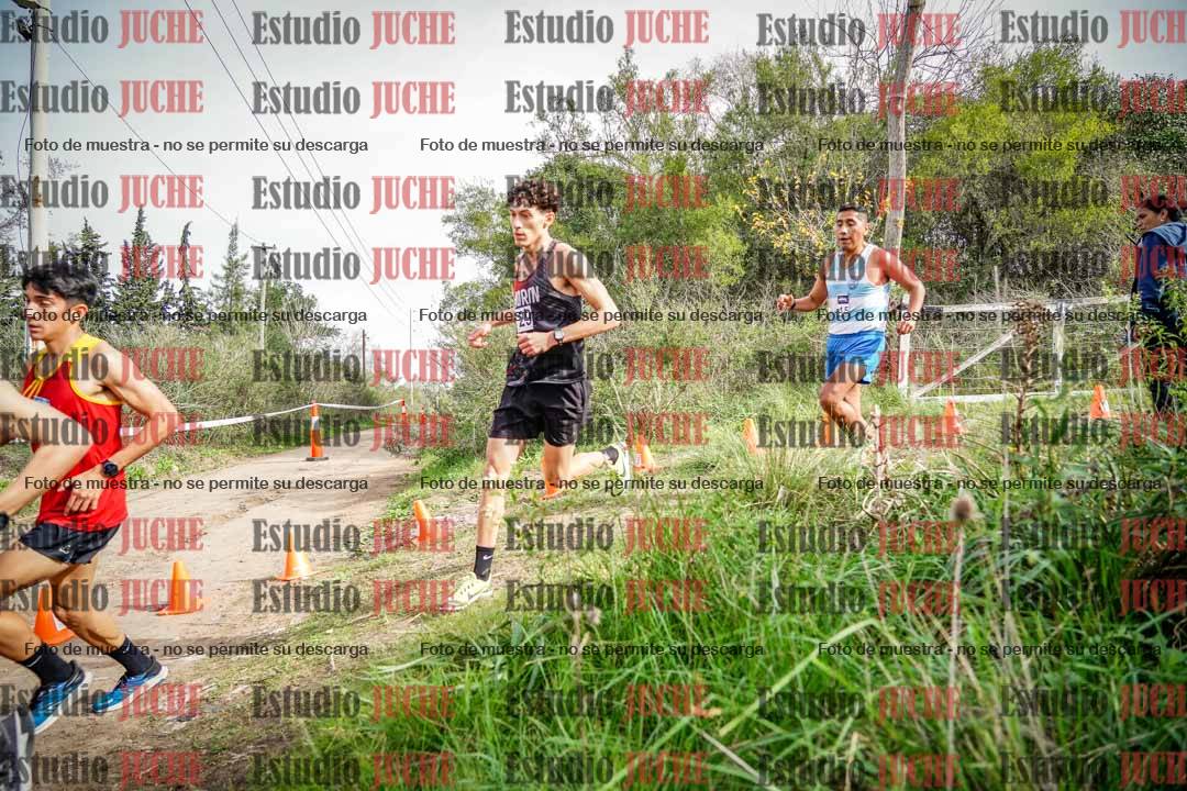 Fotos en el circuito
