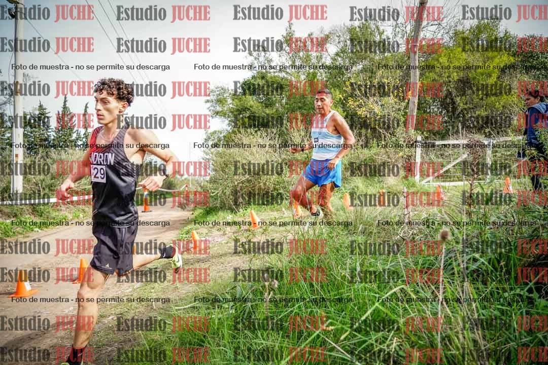 Fotos en el circuito