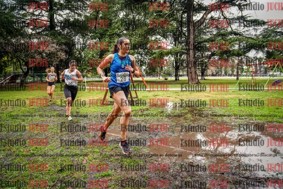 Fotos en el circuito