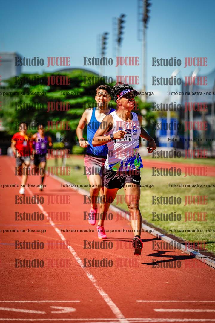 Fotos de los 800 m llanos de varones