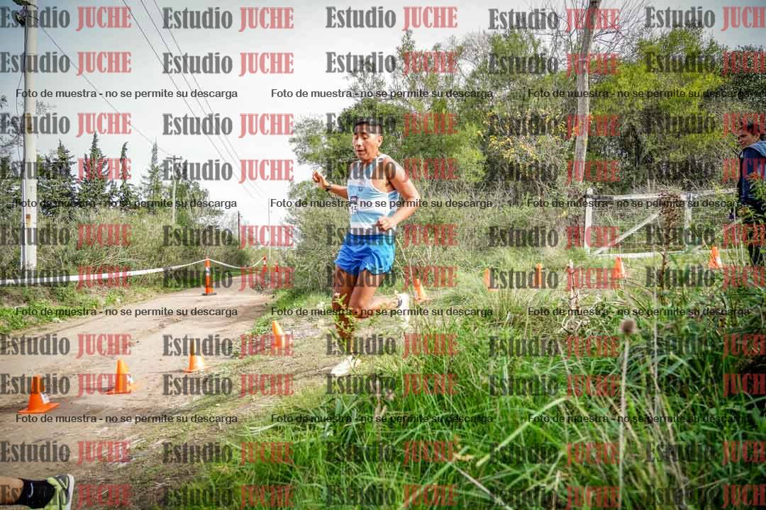 Fotos en el circuito
