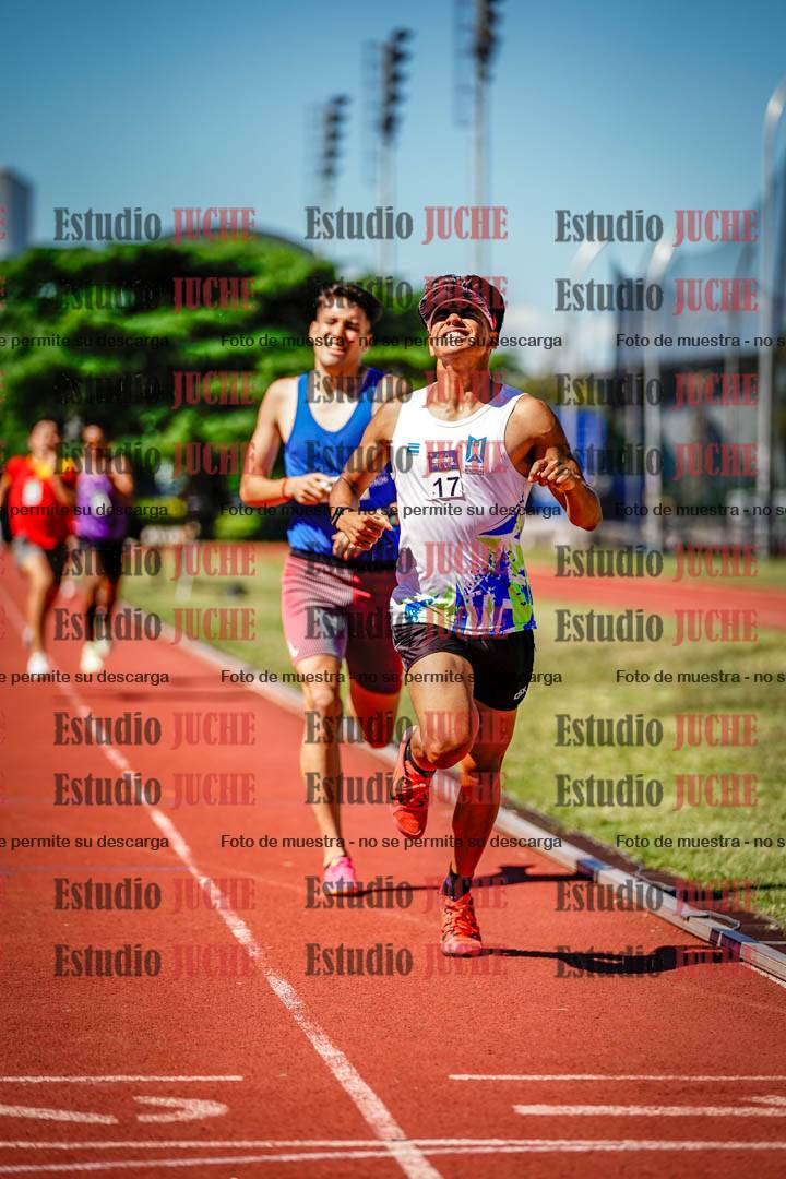 Fotos de los 800 m llanos de varones