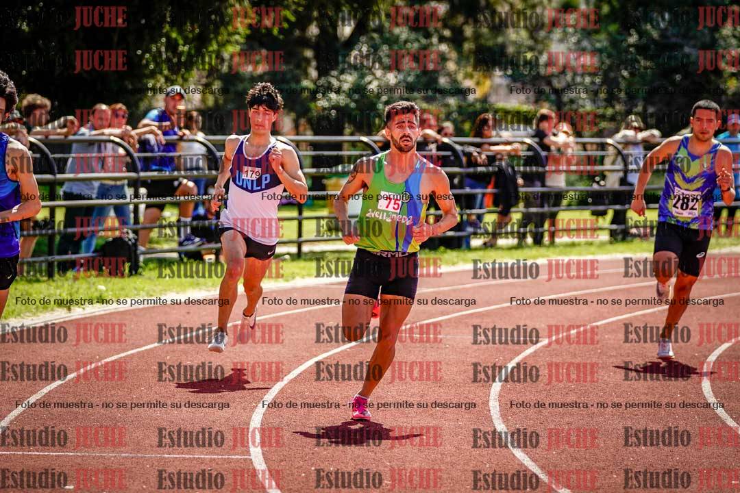 Fotos de los 800 m llanos de varones