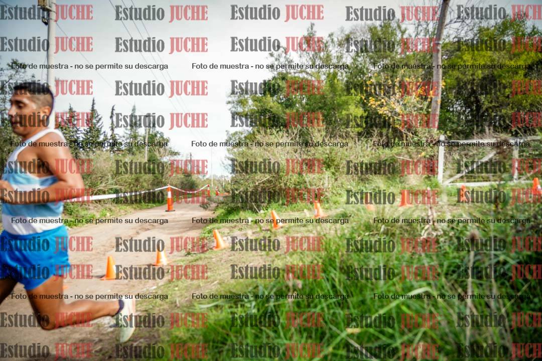 Fotos en el circuito