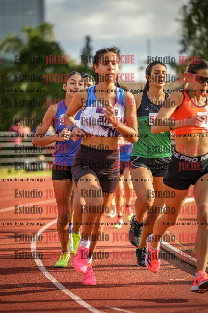 Fotos de los 1500 m llanos de mujeres