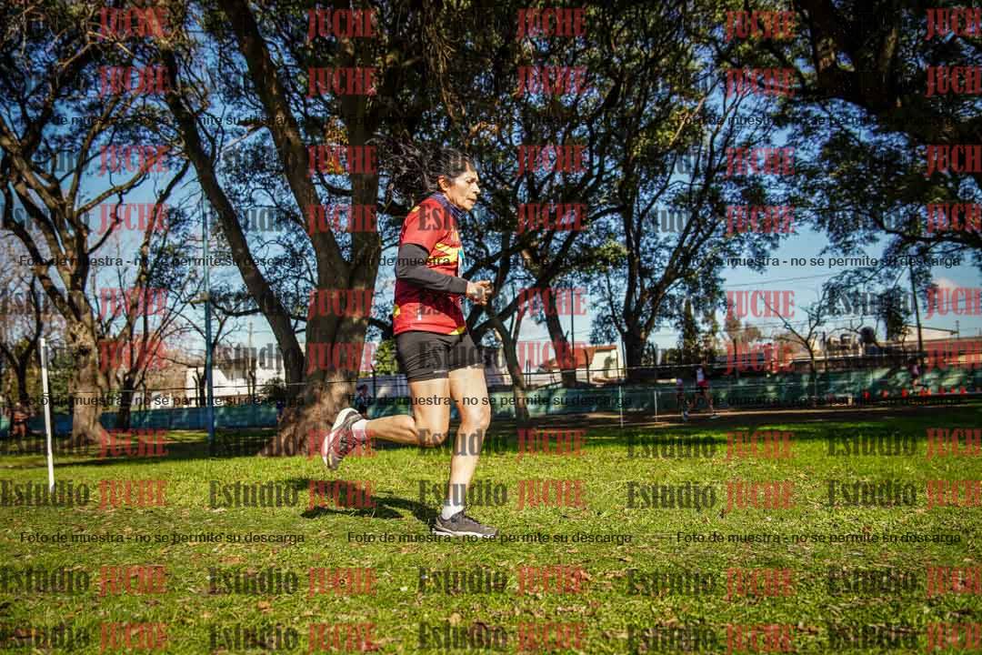 Fotos en el circuito