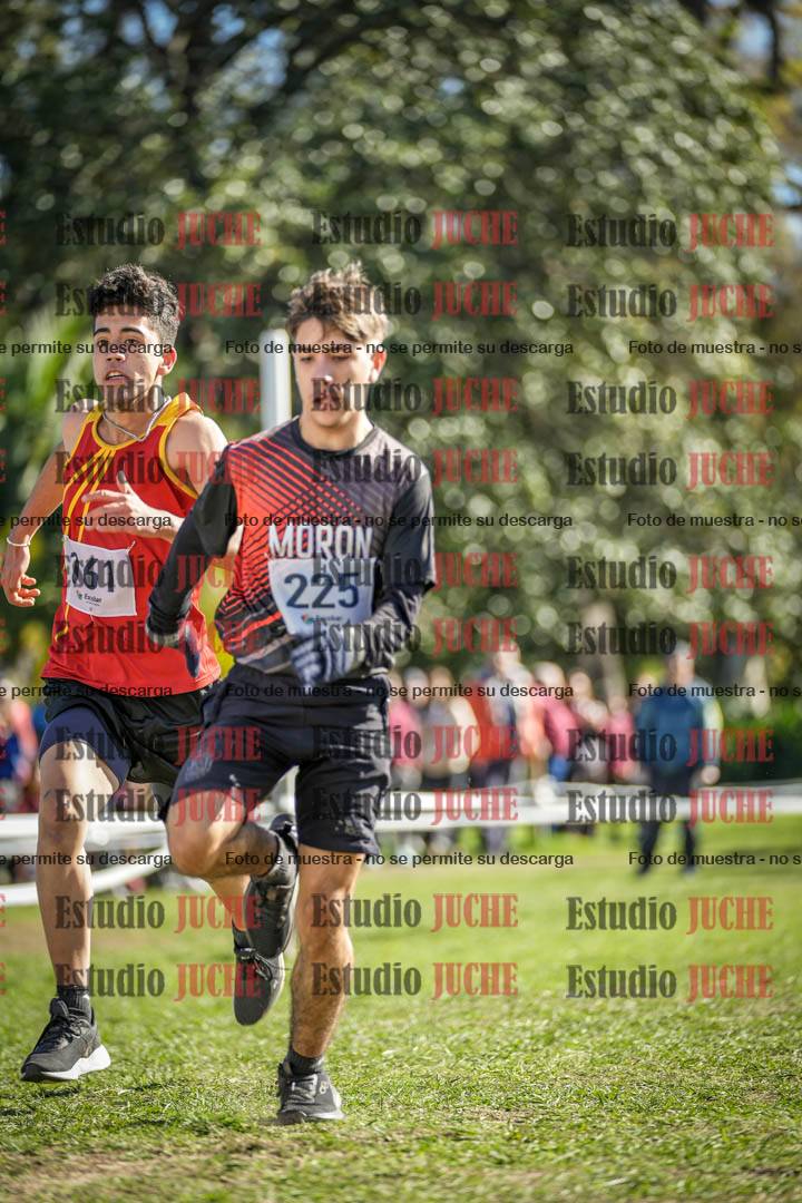 Fotos de la llegada del cross de 2000 m