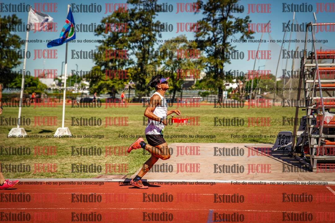 Fotos de los 800 m llanos de varones
