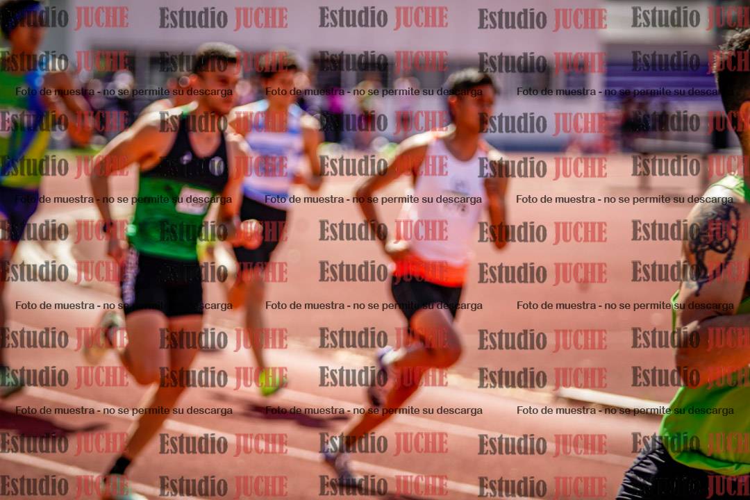 Fotos de los 800 m llanos de varones