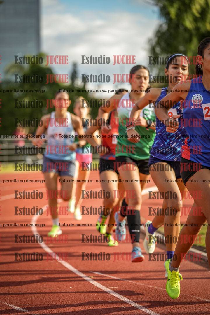 Fotos de los 1500 m llanos de mujeres