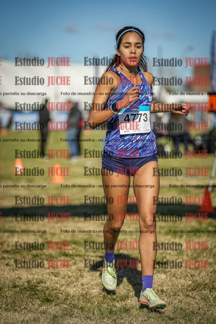 Fotos de las llegadas