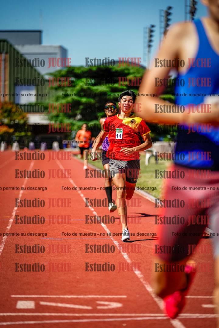 Fotos de los 800 m llanos de varones