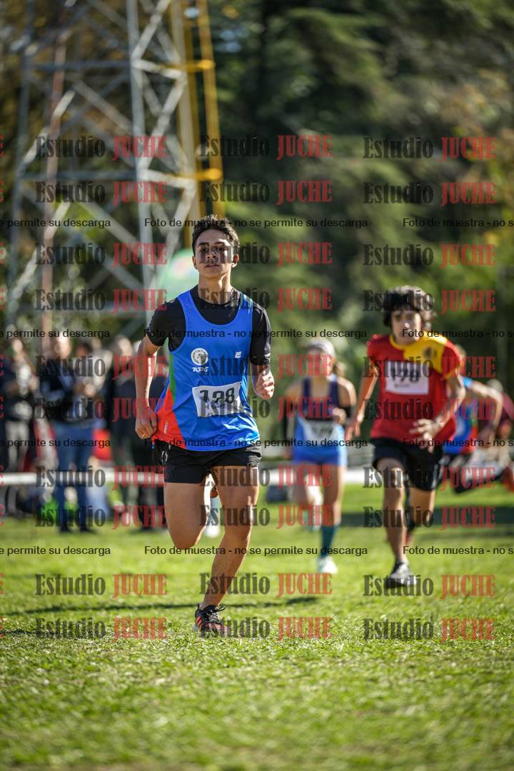 Fotos de la llegada del cross de 2000 m