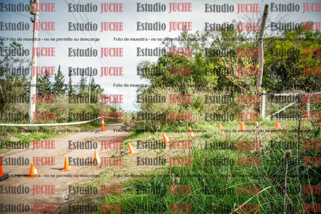 Fotos en el circuito
