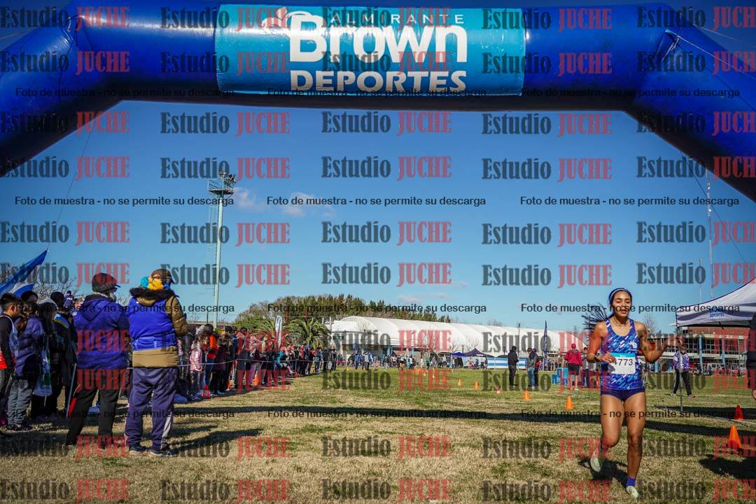 Fotos de las llegadas