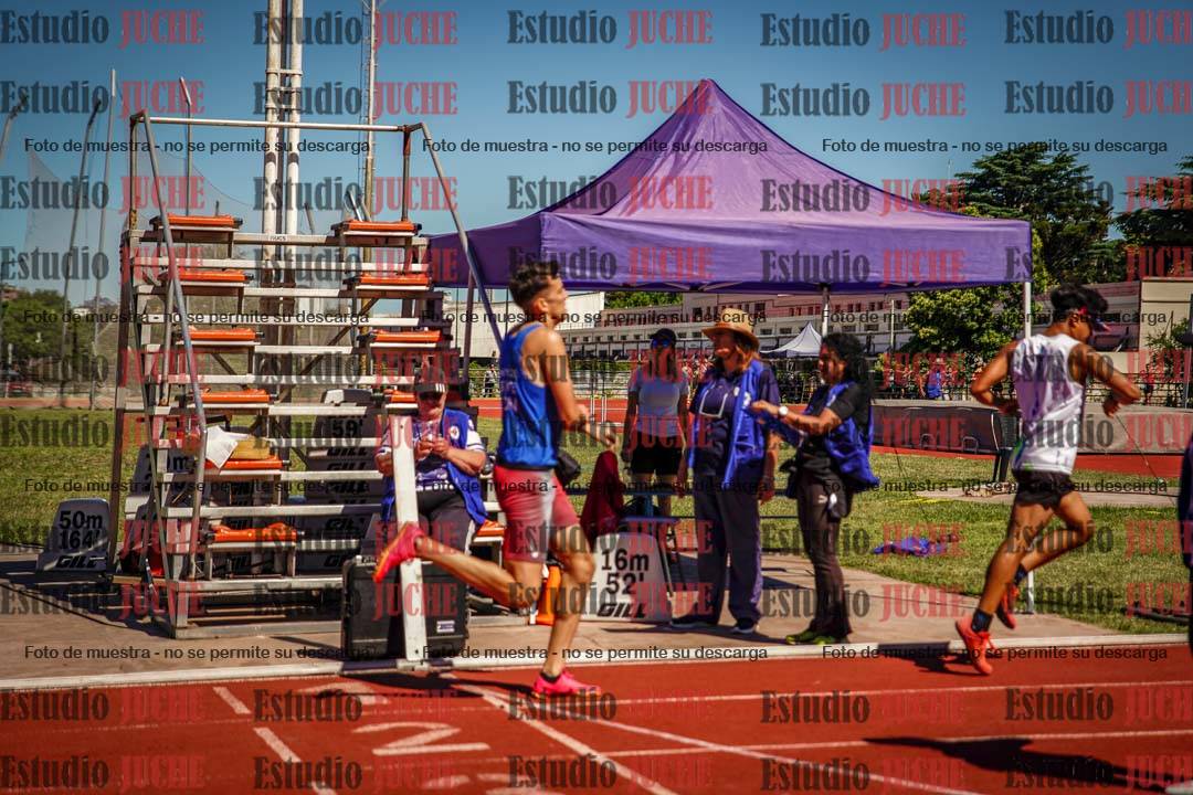 Fotos de los 800 m llanos de varones