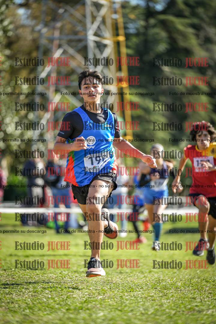 Fotos de la llegada del cross de 2000 m