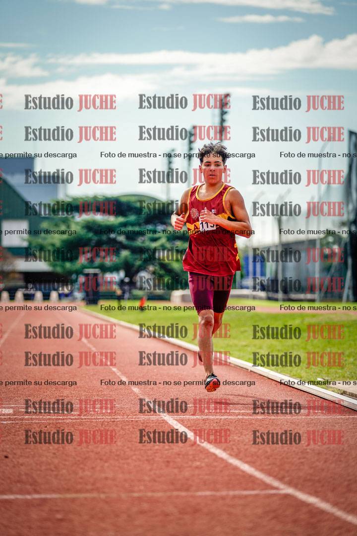 Fotos de los 800 m llanos de varones