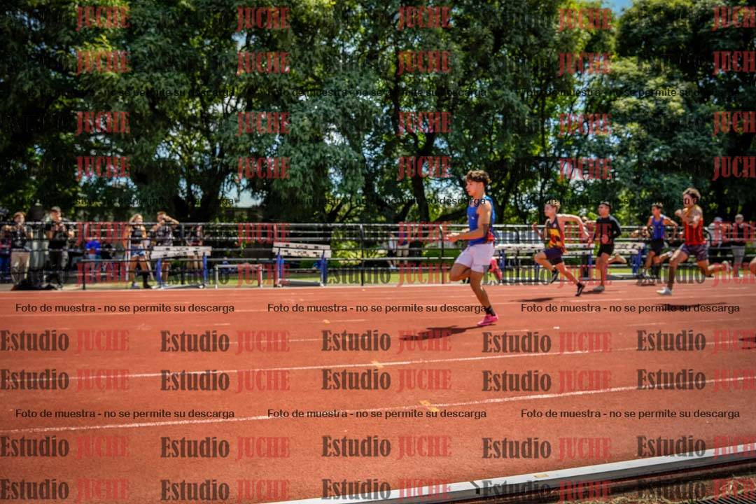 Fotos de los 100 m de varones