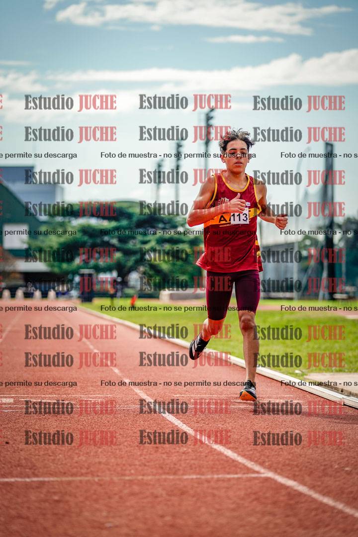Fotos de los 800 m llanos de varones