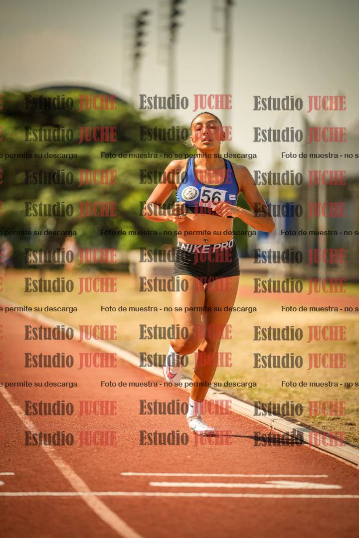 Fotos de los 800 m llanos de mujeres