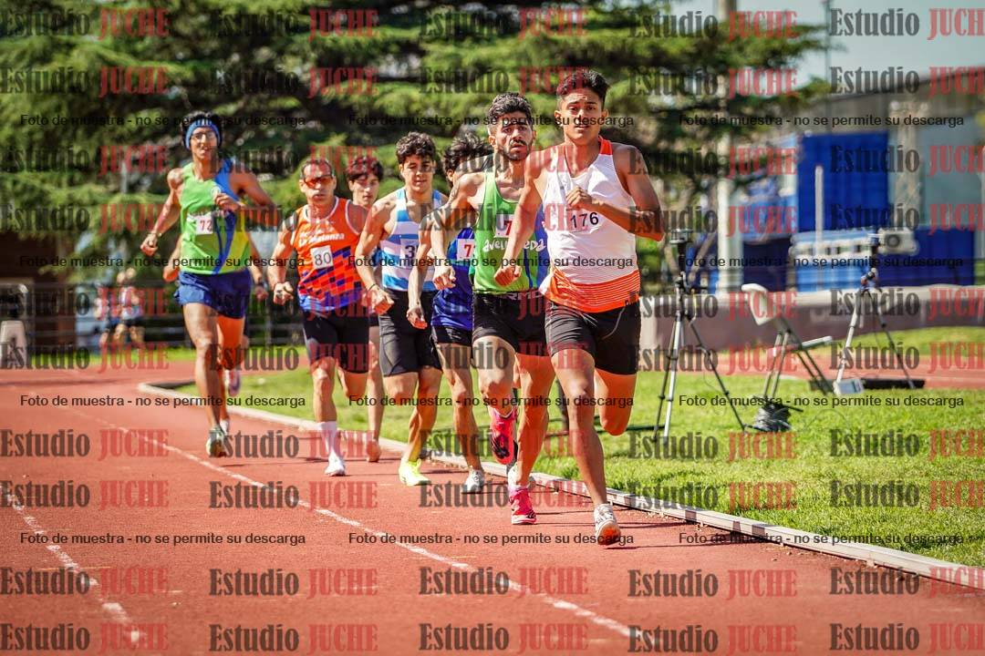 Fotos de los 800 m llanos de varones