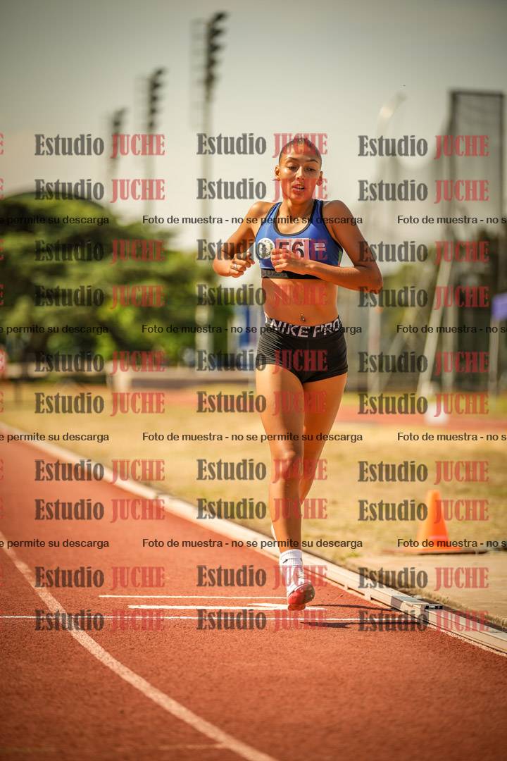 Fotos de los 800 m llanos de mujeres