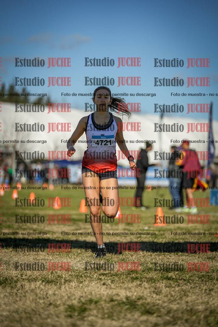 Fotos de las llegadas