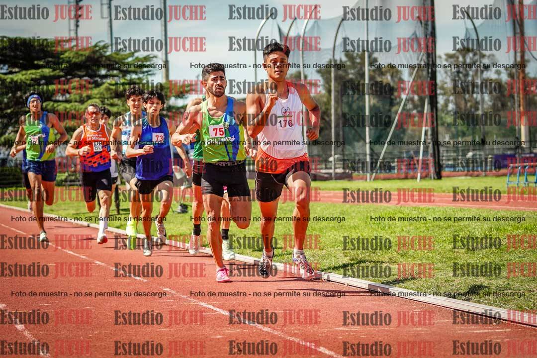 Fotos de los 800 m llanos de varones