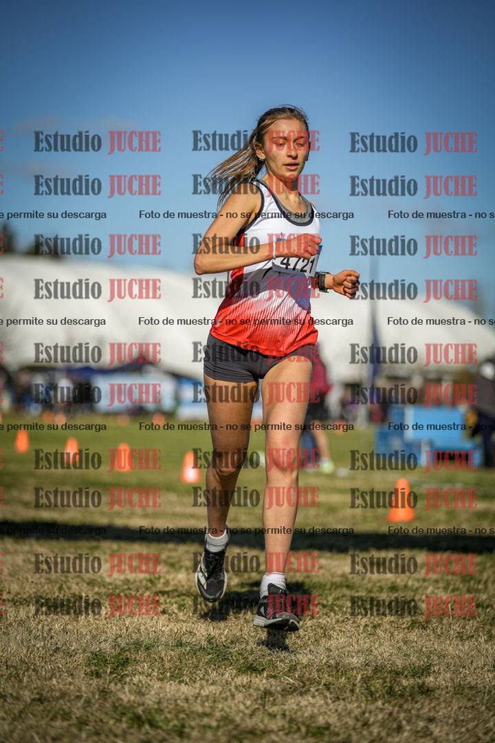 Fotos de las llegadas