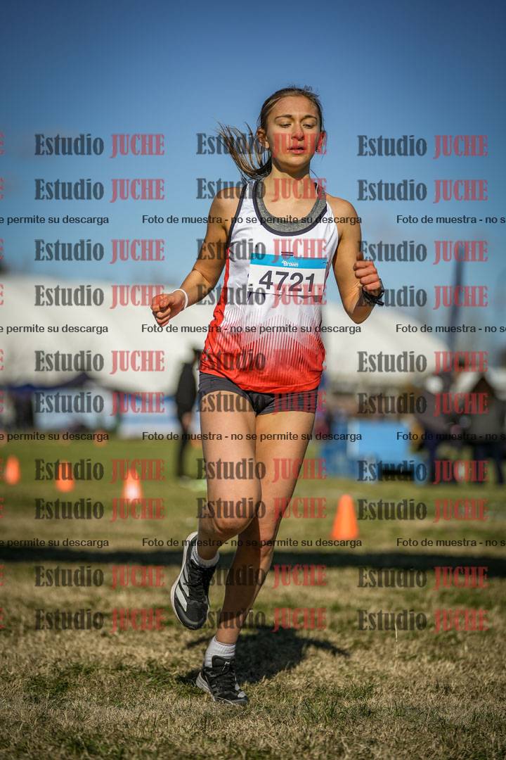 Fotos de las llegadas