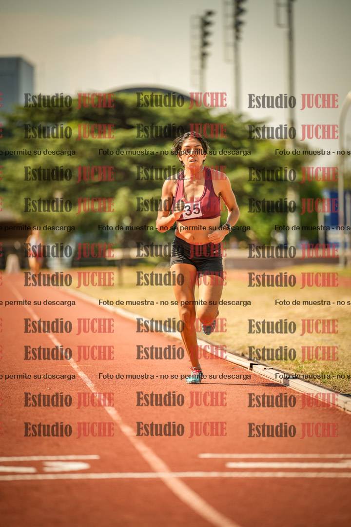 Fotos de los 800 m llanos de mujeres